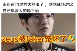 包含Faker遭遇十连败，加拿大队教练面临压力！的词条