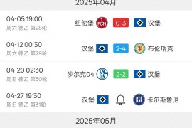 汉堡-战平晋级，球队展现实力的简单介绍