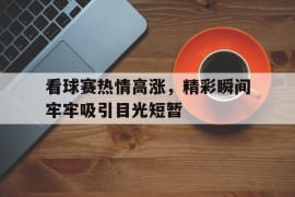 看球赛热情高涨，精彩瞬间牢牢吸引目光短暂的简单介绍